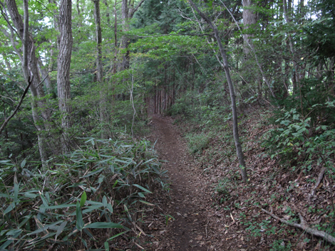 20161014hike (161)